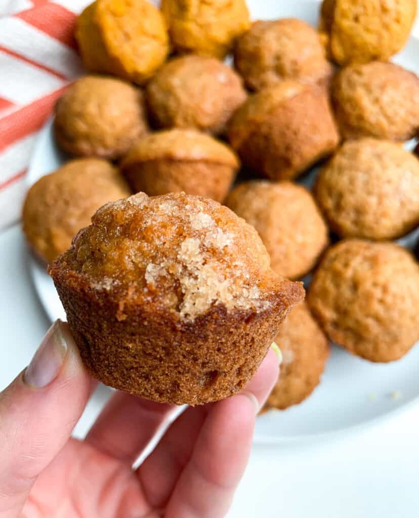 healthy cinnamon mini muffins