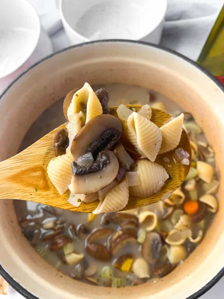 close up of vegan mushroom and pasta soup 